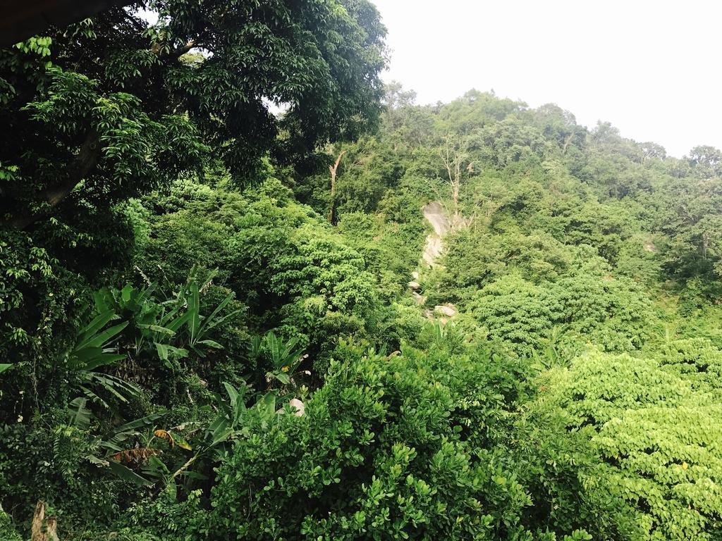 Sunyo Garden Guesthouse 帕岸岛 外观 照片